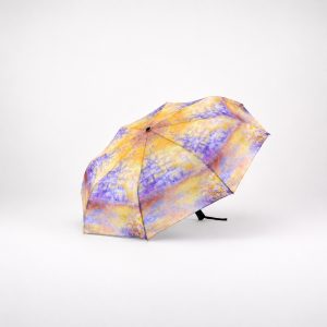Miniparaply - Vinter