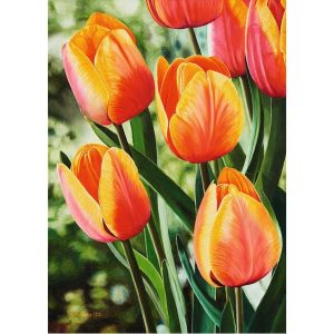 Blomster plakat med orangerøde tulipaner, malet af sydafrikanske mundmalende kunstner Brenton Nicholas Swartz fra Sydafrika